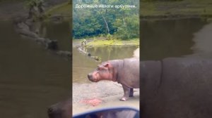 Разные видео.