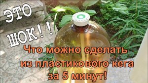 Шикарный цветочный вазон за 5 минут из подручных материалов своими руками