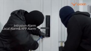 Умный дверной замок Xiaomi Lockin Classic 2X Pro