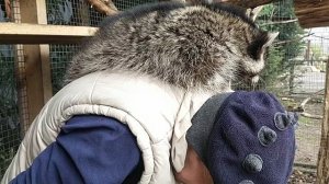 Машкины покатушки на спине хозяина