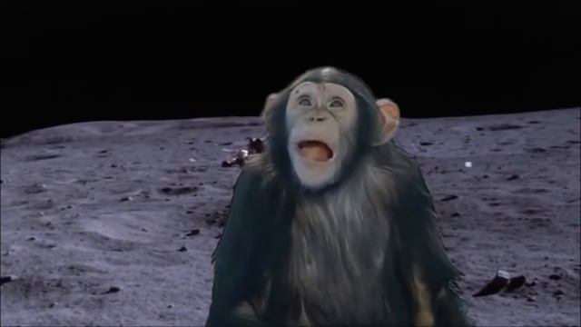 Мой второй монтаж - Обезьяна на Луне смотреть онлайн