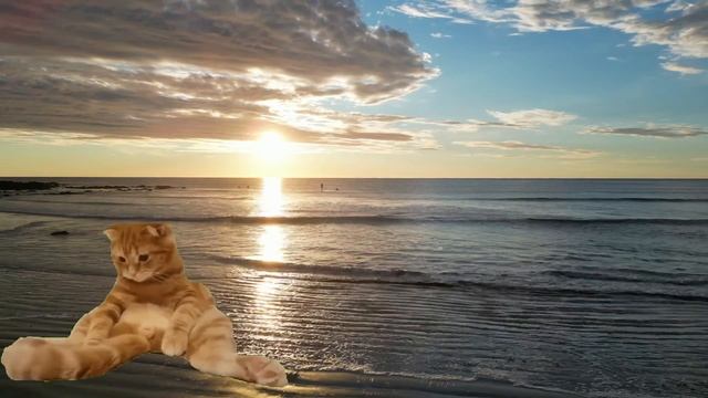 ТВИКС СПУСТИЛСЯ С ОБЛАКА И В КВАРТИРУ ПРОНИК смотреть онлайн