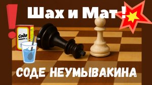 Шах и мат соде Неумывакина!