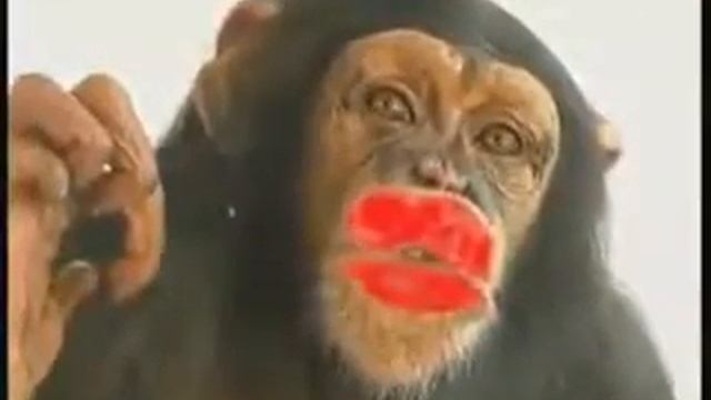 4 января 2016 г. смотреть онлайн