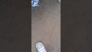 Вызываем джефф убийцу на улице ОН ПРИШЁЛ!😮😱😊