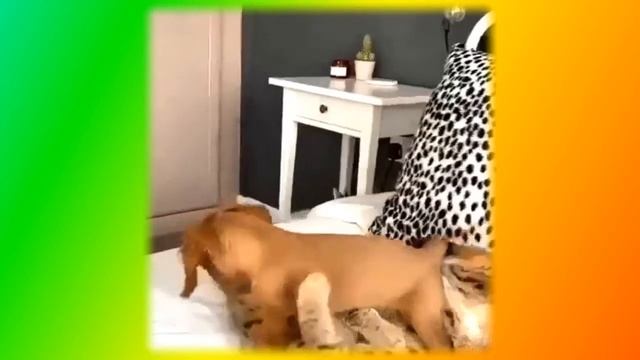 доброго дня позитив Создай себе хорошее настроение смотреть онлайн