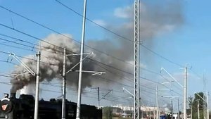 Экспо1520 динамический показ