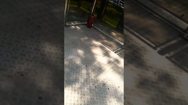 Свободное падение