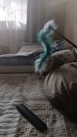 1000017347.mp4