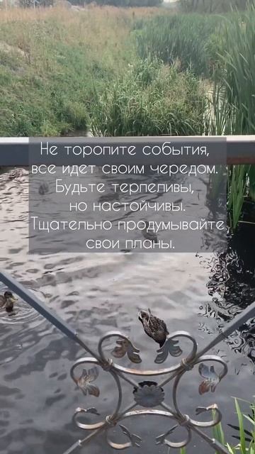 10.03.2024 #китайскаяметафизика #активации #цимэньдуньцзя #цимэнь