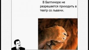 Самые нелепые и смешные законы разных стран. Первая часть.