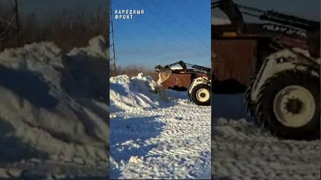 На контроле НФ