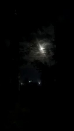 Лунный свет