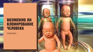 #Аврора #гадание Возможно ли клонирование человека