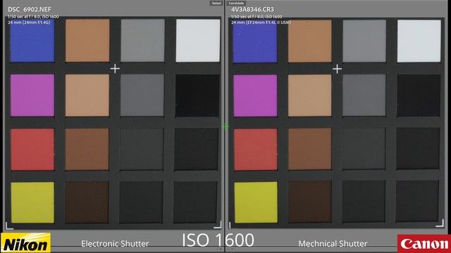 Nikon Z8 vs Canon R5II ｜ ЛУЧШАЯ 45 -мегапиксельная камера