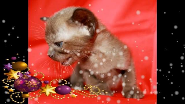 с новым годом