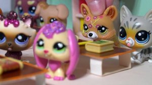 LPS / КАЖДЫЙ УЧИТЕЛЬ ТАКОЙ №1