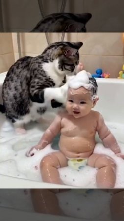 Вот это помощник)))