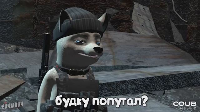 Coub приколы 2020 ЛУЧШЕЕ / BEST COUB #133