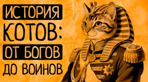 Всемирная история котов: от Богов до чиновников. Кем на самом деле были кошки в истории?