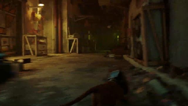 Stray/аутсайдеры #2