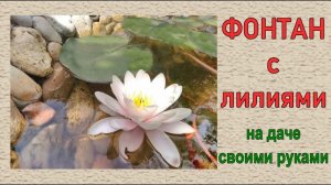 Фонтан Своими Руками Пруд На Даче Как Зимует Кувшинка