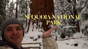 Влог 2. Парк Секвой. Лос-Анджелес-Голливуд 2025