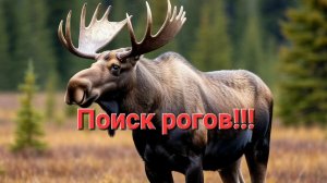 Как мы с братом рога искали.Рога на каждом шагу.