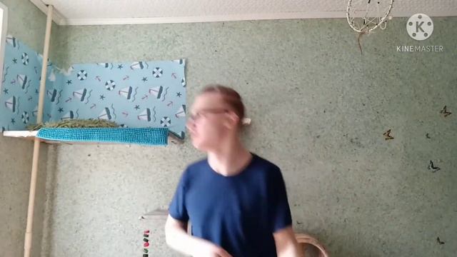 Школьник ШУЕшнулся и переосознал действительность. (Ш.У.Е. П.П.Ш. Remix)