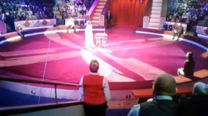 Цирк Никулина на Цветном бульваре