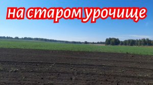 Повторная перепашка старого урочища.
