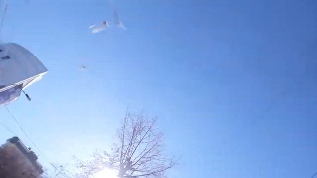 Свадьба 01.02.2014 смотреть онлайн