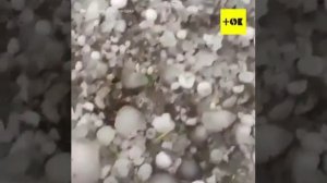 Смертельный град Кубань