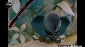 ❗⚡🚧Друг Попугая, Слонёнок покончил с собой уже на 91-ом году жизни!