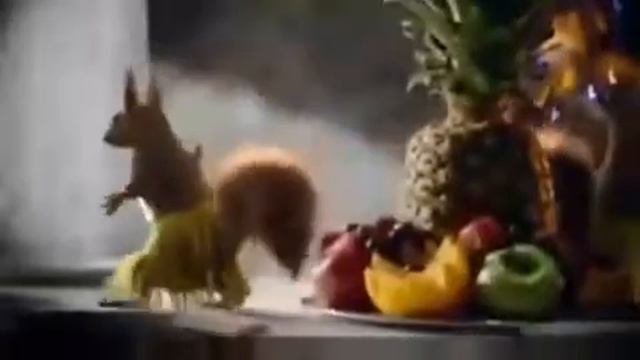 Прикольный клип