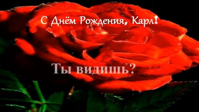 Смешное поздравление. С Днём рождения, Карл! смотреть онлайн