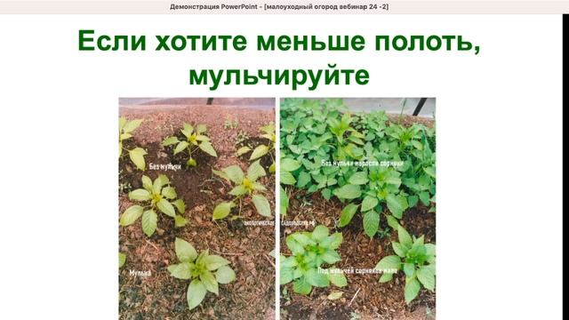 Малоуходный сад и огород, запись вебинара