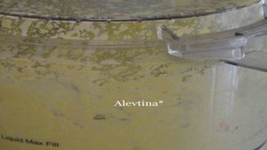 Куриный салат с авокадо