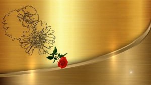 Футаж для монтажа видео Пожелание в День рождения Footage hd