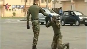 Цыганские приколы