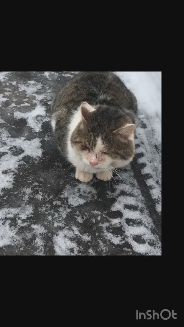 Нормы ГТО сдаём вдвоём.