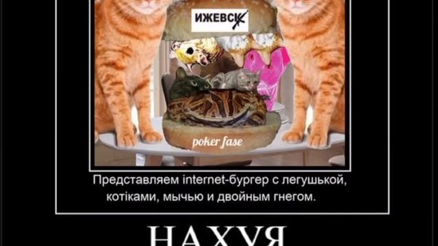 мем приколы мемы прикол меме мемчик мемасы  автор идиот