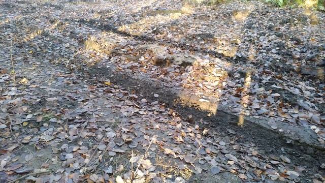 сz Scorpion EVO 3 LT VS Внедорожник смотреть онлайн