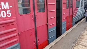 станция Купчино