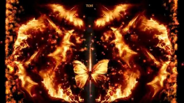 Сборник от Юлии 28 смотреть онлайн