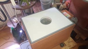 Раскрываем секреты инкубации цыплят бройлеров и выращивание в домашних условиях.