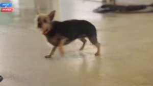 Смеяться до слез: Лучшие шутки Андрея Беднякова