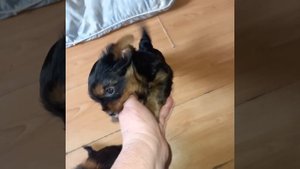 1000041771.mp4