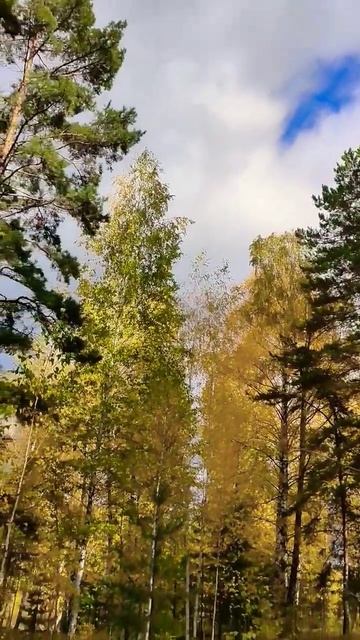 Я рядом с тобой, просто ты не видишь меня... Aleksandr Martsinkevich - Topic смотреть онлайн