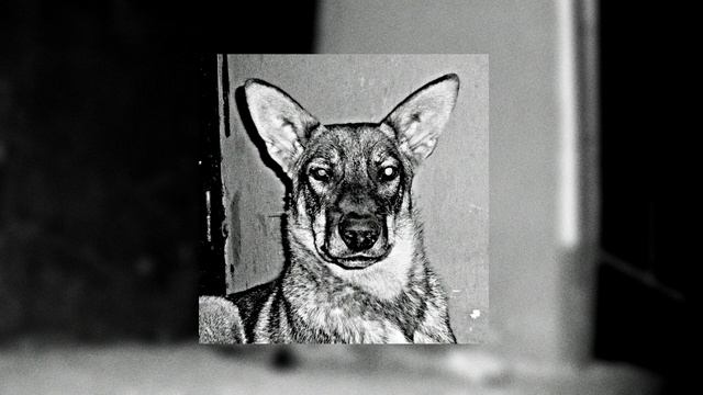 ЭЙЗАР х El Guarataro - Аль Грано смотреть онлайн